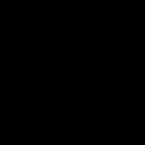 Meet your Posher, Francisco